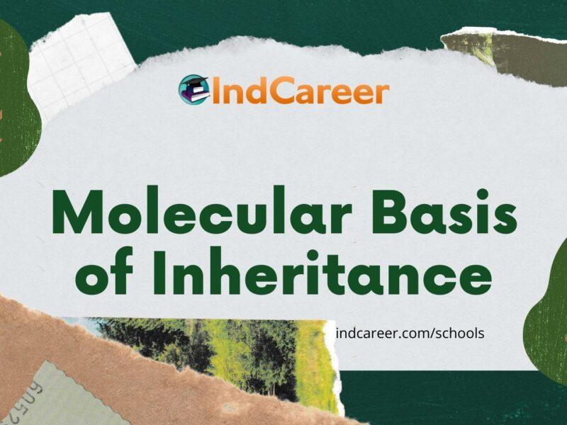 Molecular Basis of Inheritance