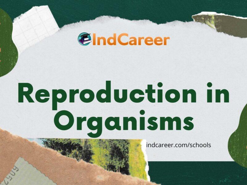 Reproduction in Organisms