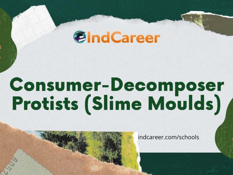 Consumer-Decomposer Protists (Slime Moulds)