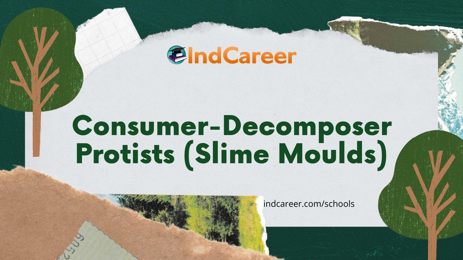 Consumer-Decomposer Protists (Slime Moulds)