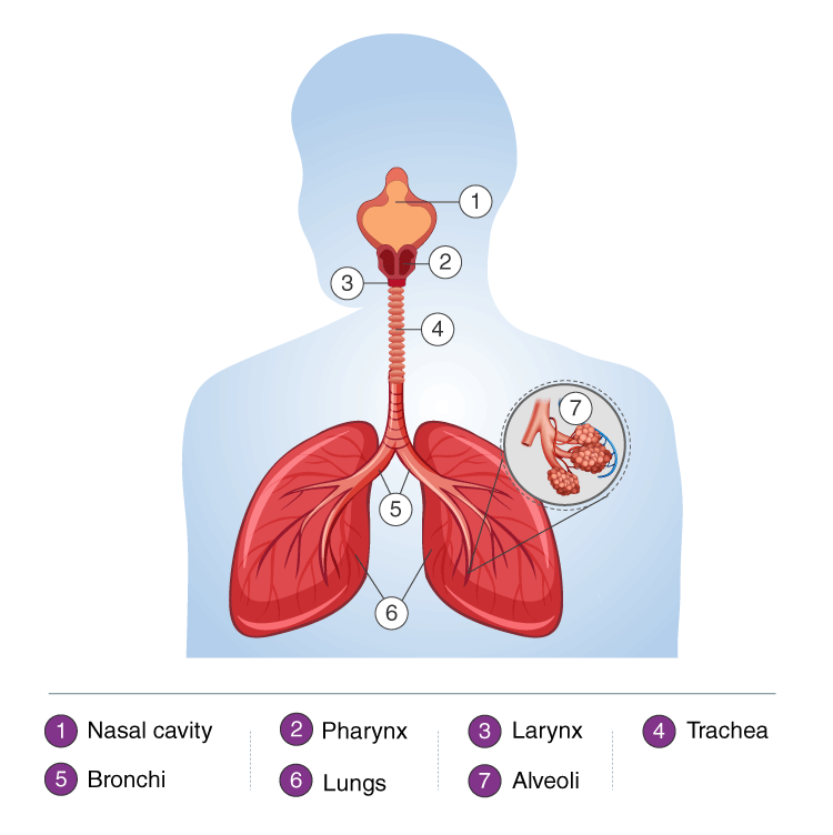 Lakhmir Singh Solutions Class 10 Biology Chapter 1