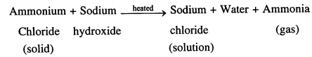 Selina Concise Chemistry Class 7 ICSE Solutions - Language of Chemistry-7