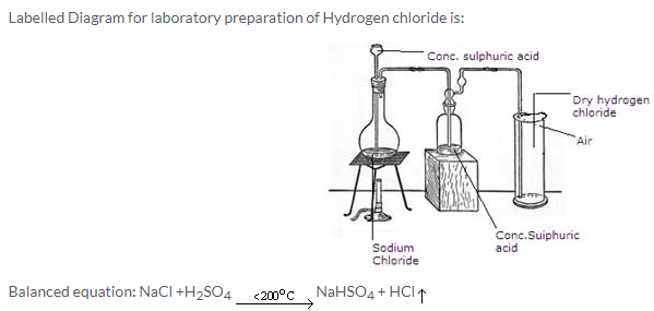 selina-icse-solutions-class-10-chemistry-study-compounds-hydrogen-chloride-1
