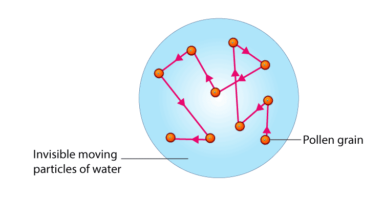 Lakhmir Singh Solutions Class 9 Chemistry Chapter 1 Matter In Our Surroundings-2
