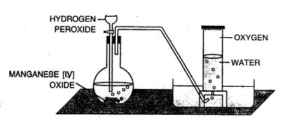 Selina Concise Chemistry Class 7 ICSE Solutions - Air and Atmosphere-e2
