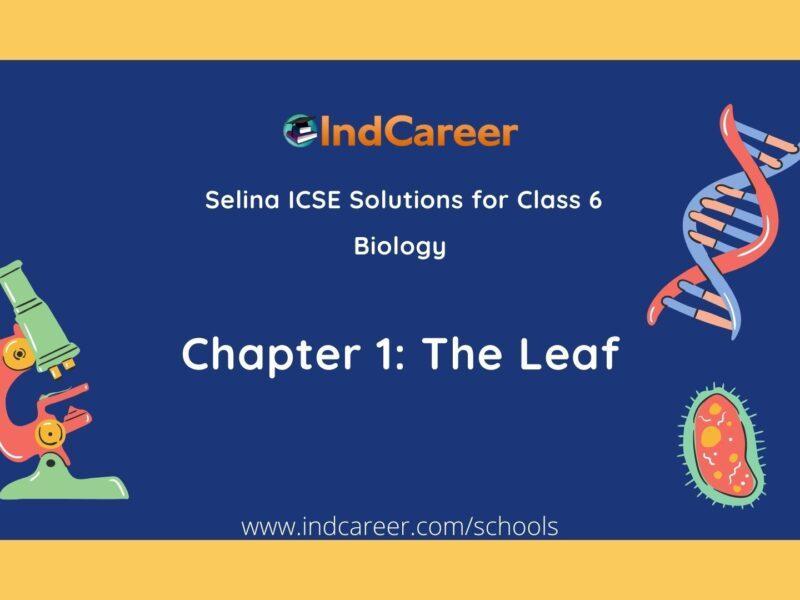 Selina Class 6 ICSE Solutions Biology (Unit 1) - Plant Life: Chapter 1- The Leaf