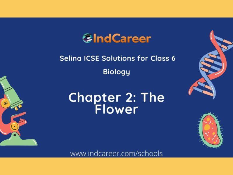 Selina Class 6 ICSE Solutions Biology (Unit 1) - Plant Life: Chapter 2- The Flower