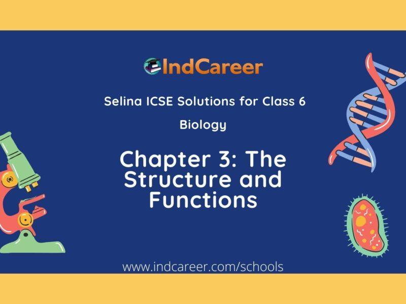 Selina Class 6 ICSE Solutions Biology (Unit 2) - The Cell: Chapter 3- The Structure and Functions