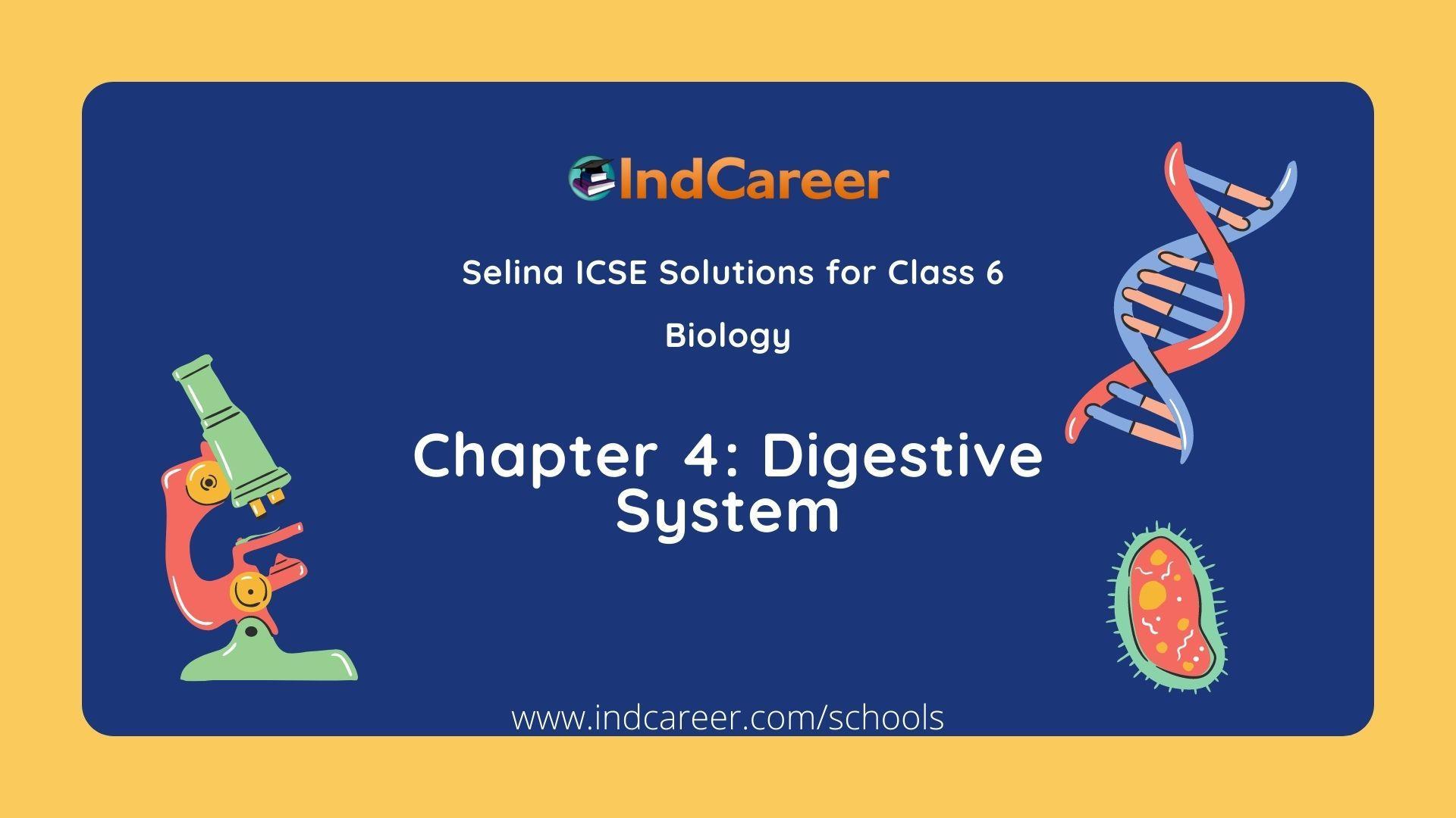 Selina Class 6 ICSE Solutions Biology (Unit 2) - The Cell: Chapter 4- Digestive System