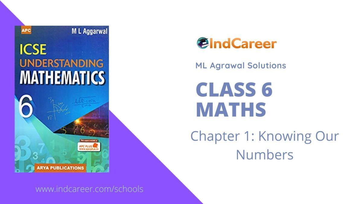 ML Aggarwal Solutions for Class 6 Maths Chapter 1- Knowing Our Numbers