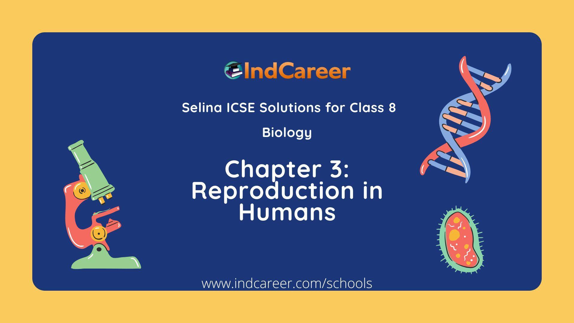 Selina Class 8 ICSE Solutions Biology : Chapter 3- Reproduction in Humans
