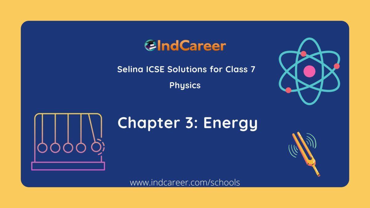 Selina Class 7 ICSE Solutions Physics : Chapter 3- Energy