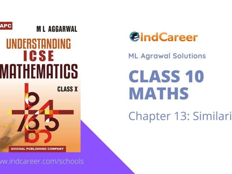 ML Aggarwal Solutions for Class 10 Maths Chapter 13- Similarity