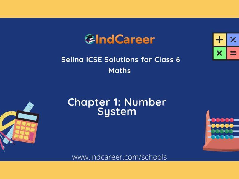 Selina Class 6 ICSE Solutions Mathematics : Chapter 1- Number System