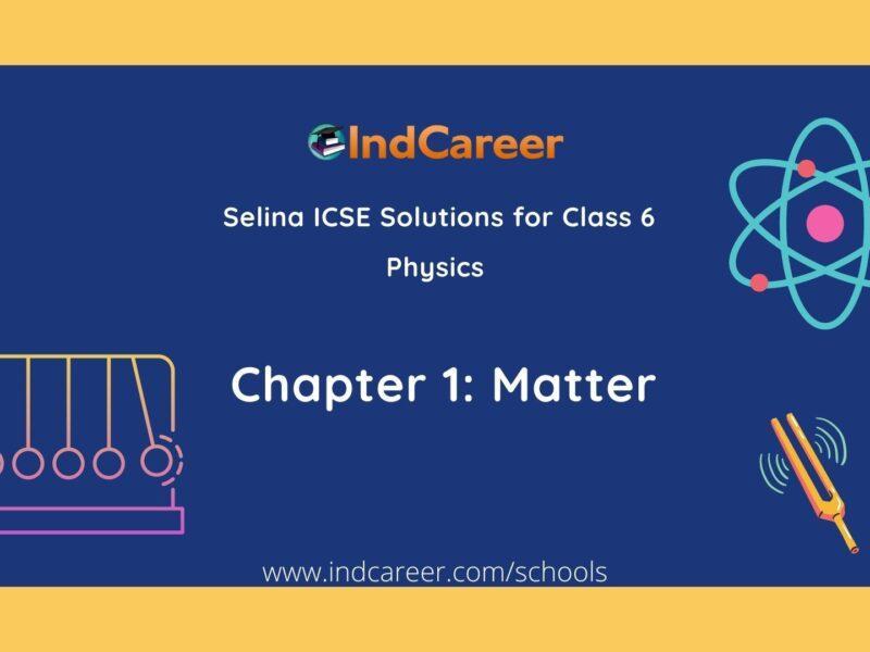 Selina Class 6 ICSE Solutions Physics : Chapter 1- Matter