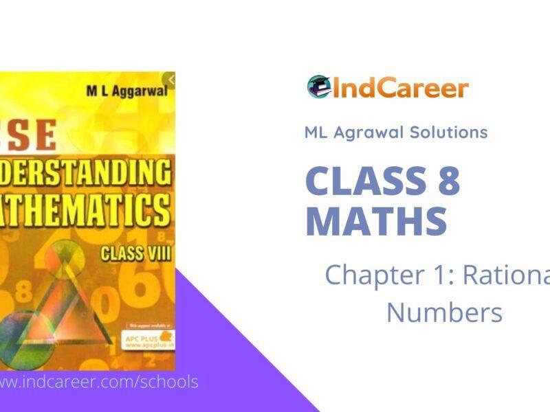 ML Aggarwal Solutions for Class 8 Maths Chapter 1- Rational Numbers