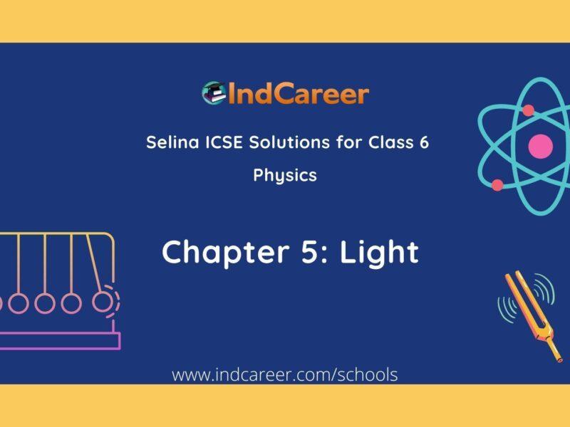 Selina Class 6 ICSE Solutions Physics : Chapter 5- Light