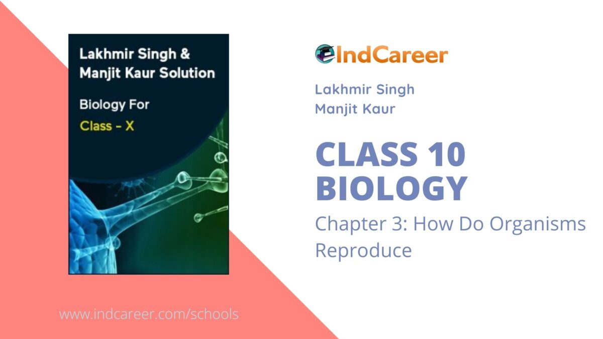 Lakhmir Singh Manjit Kaur Solutions for Class 10 Biology: Chapter 3- How Do Organisms Reproduce