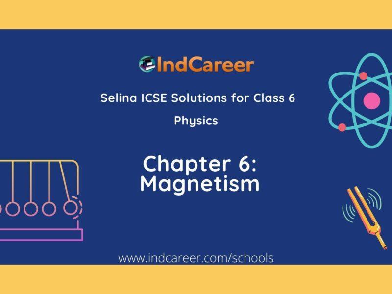 Selina Class 6 ICSE Solutions Physics : Chapter 6- Magnetism
