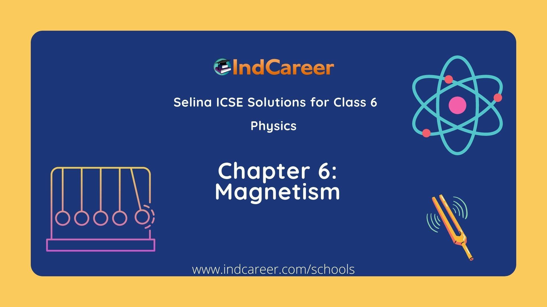Selina Class 6 ICSE Solutions Physics : Chapter 6- Magnetism