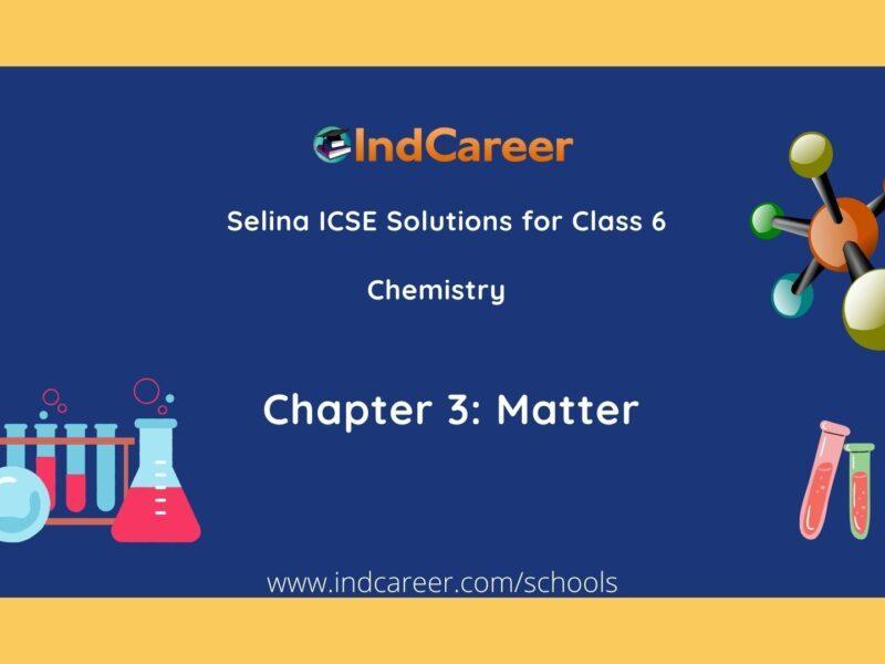 Selina Class 6 ICSE Solutions Chemistry : Chapter 3- Matter