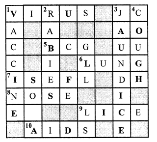 Selina Concise Biology Class 6 ICSE Solutions - Health and Hygiene 4