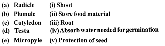 Selina Concise Biology Class 6 ICSE Solutions - The Flower 2
