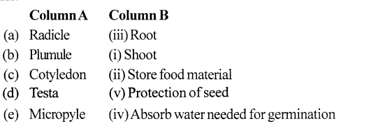 Selina Concise Biology Class 6 ICSE Solutions - The Flower 3