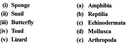 Selina Concise Biology Class 7 ICSE Solutions - Classification of Animals 2