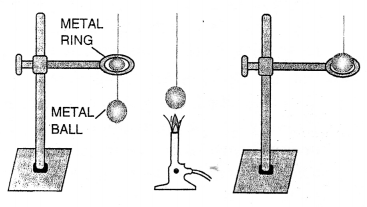 Selina Concise Chemistry Class 6 ICSE Solutions Chapter 3 Matter 6
