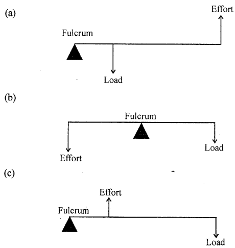 Selina Concise Physics Class 6 ICSE Solutions Chapter 4 Simple Machines 10