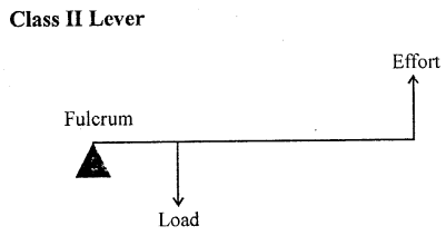Selina Concise Physics Class 6 ICSE Solutions Chapter 4 Simple Machines 12