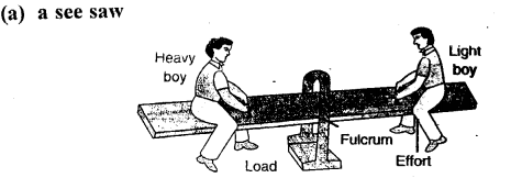 Selina Concise Physics Class 6 ICSE Solutions Chapter 4 Simple Machines 14