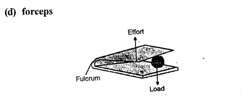 Selina Concise Physics Class 6 ICSE Solutions Chapter 4 Simple Machines 17