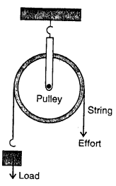Selina Concise Physics Class 6 ICSE Solutions Chapter 4 Simple Machines 19