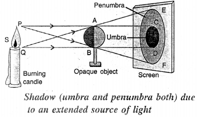 Selina Concise Physics Class 6 ICSE Solutions Chapter 5 Light 11