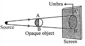 Selina Concise Physics Class 6 ICSE Solutions Chapter 5 Light 14