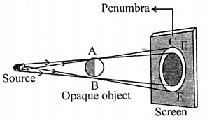 Selina Concise Physics Class 6 ICSE Solutions Chapter 5 Light 15