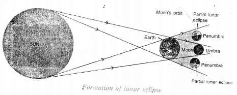 Selina Concise Physics Class 6 ICSE Solutions Chapter 5 Light 16