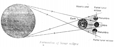 Selina Concise Physics Class 6 ICSE Solutions Chapter 5 Light 17