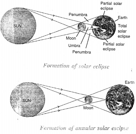 Selina Concise Physics Class 6 ICSE Solutions Chapter 5 Light 19