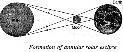 Selina Concise Physics Class 6 ICSE Solutions Chapter 5 Light 20