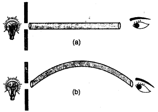 Selina Concise Physics Class 6 ICSE Solutions Chapter 5 Light 6