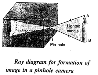 Selina Concise Physics Class 6 ICSE Solutions Chapter 5 Light 7