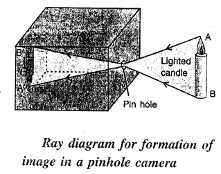 Selina Concise Physics Class 6 ICSE Solutions Chapter 5 Light 8