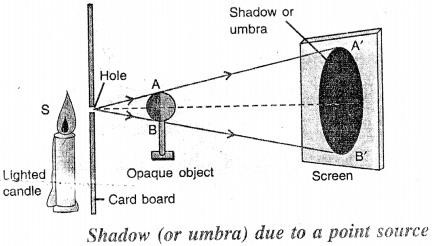 Selina Concise Physics Class 6 ICSE Solutions Chapter 5 Light 9