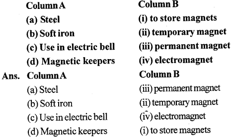 Selina Concise Physics Class 6 ICSE Solutions Chapter 6 Magnetism 1