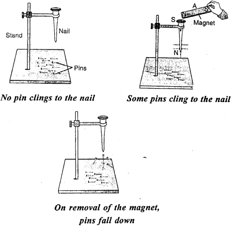 Selina Concise Physics Class 6 ICSE Solutions Chapter 6 Magnetism 2