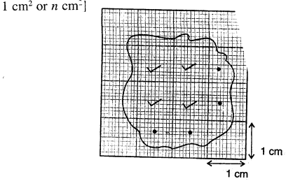 Selina Concise Physics Class 7 ICSE Solutions Chapter 1 Physical Quantities and Measurement 5