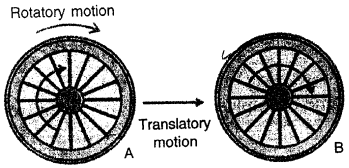 Selina Concise Physics Class 7 ICSE Solutions Chapter 2 Motion 6